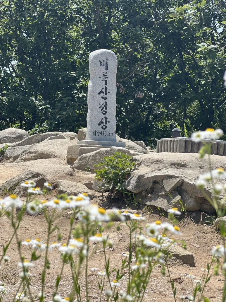 IMG_3048.JPG?type=w773