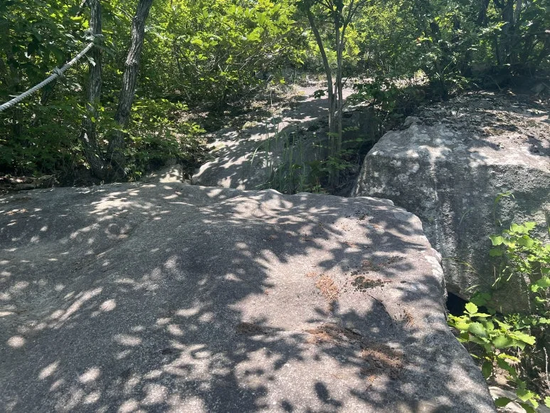 IMG_2990.JPG?type=w773