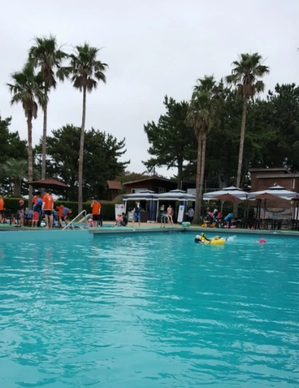 243F4234596177DB2BD266