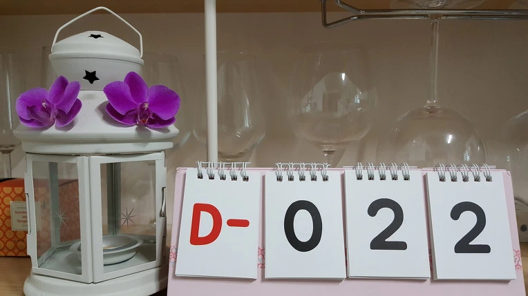 9931D4335BDBB011306E3D