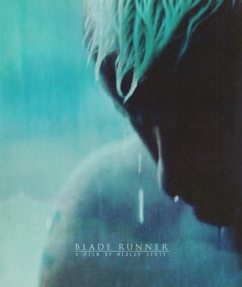 like tears in rain_.jpeg