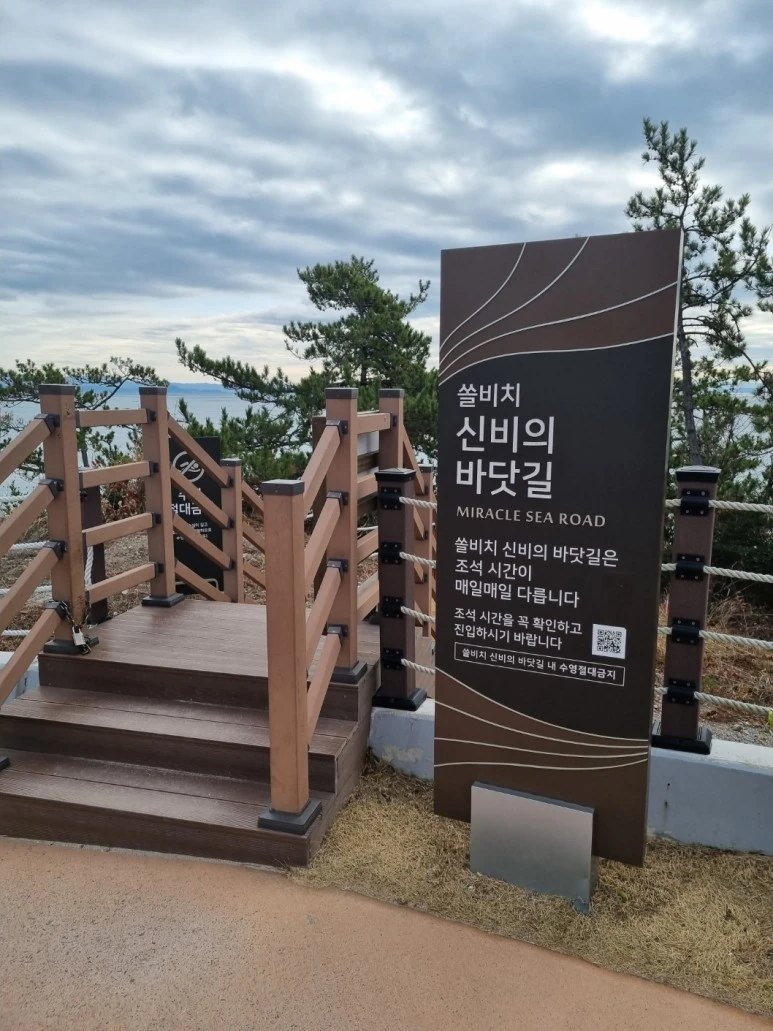 KakaoTalk_20240218_164547877.jpg?type=w773