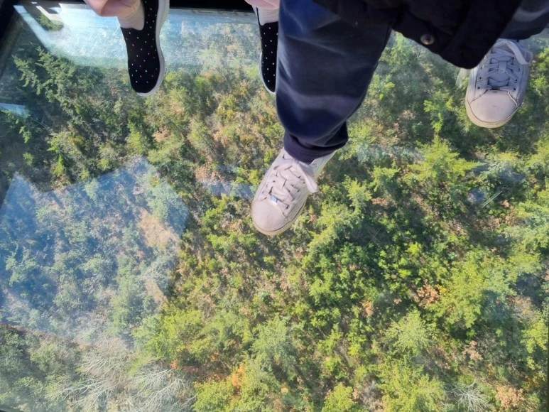 KakaoTalk_20240218_164802644.jpg?type=w773