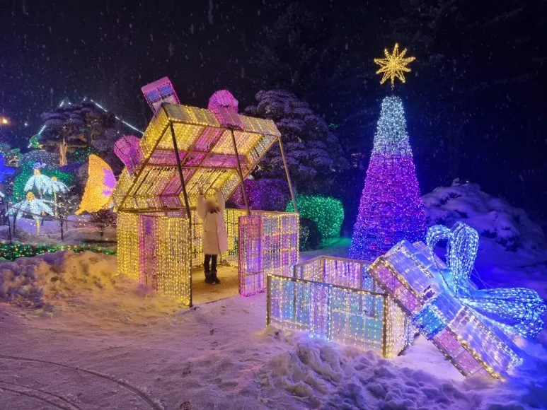 SE-137100ea-fc4d-4774-9bc7-6c6926285b83.jpg?type=w773