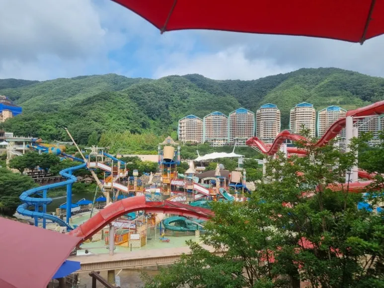 KakaoTalk_20240527_155512019_16.jpg?type=w773