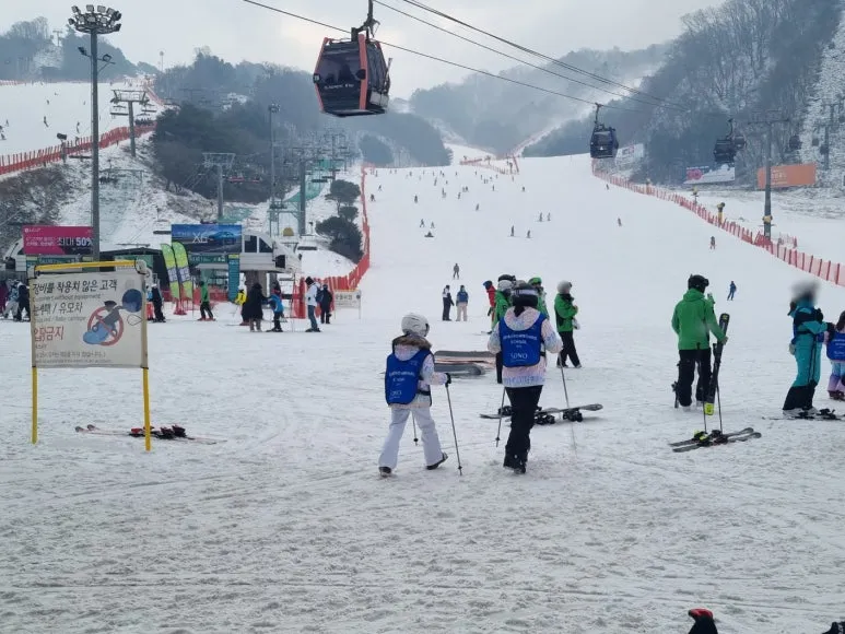 SE-9fa267e1-891b-4bff-90a1-7a803019d5e3.jpg?type=w773