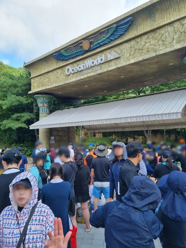 SE-e79fb21d-f4b9-4815-95e3-e8589c1bd7a9.jpg?type=w773