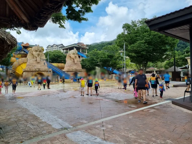 SE-4473ca5e-8650-4a39-9f77-a4a1d30ee94d.jpg?type=w773