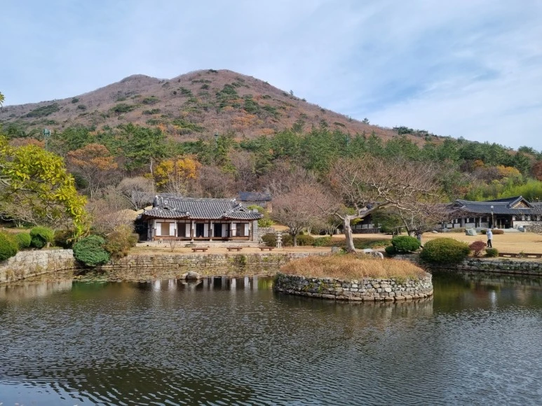 KakaoTalk_20240218_164547877_13.jpg?type=w773