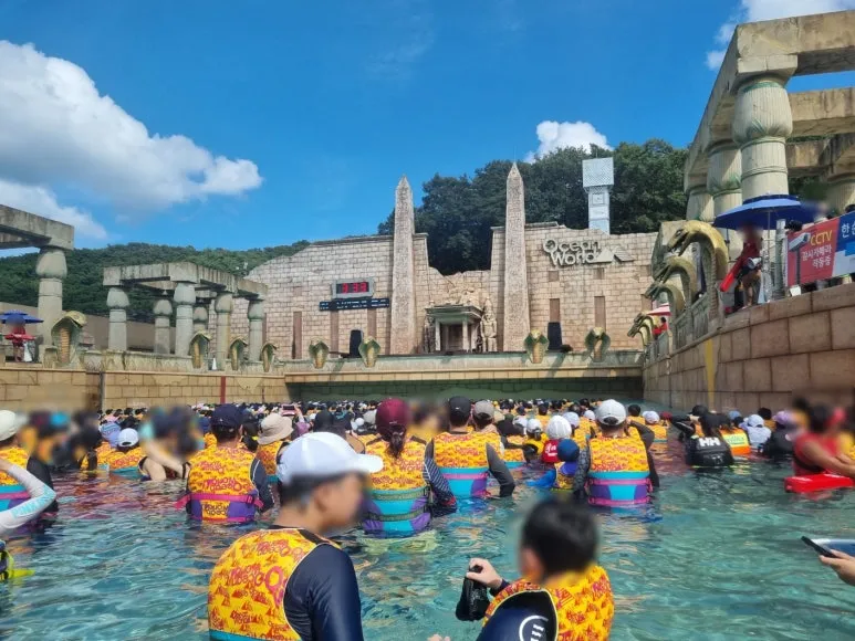 SE-5de225e4-f0f3-4057-8c66-0d23a46580b5.jpg?type=w773