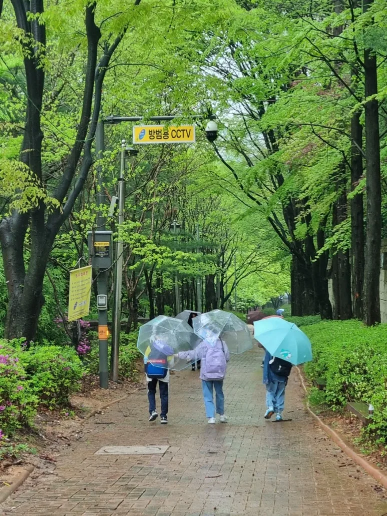 KakaoTalk_20241031_103606524_01.jpg?type=w773