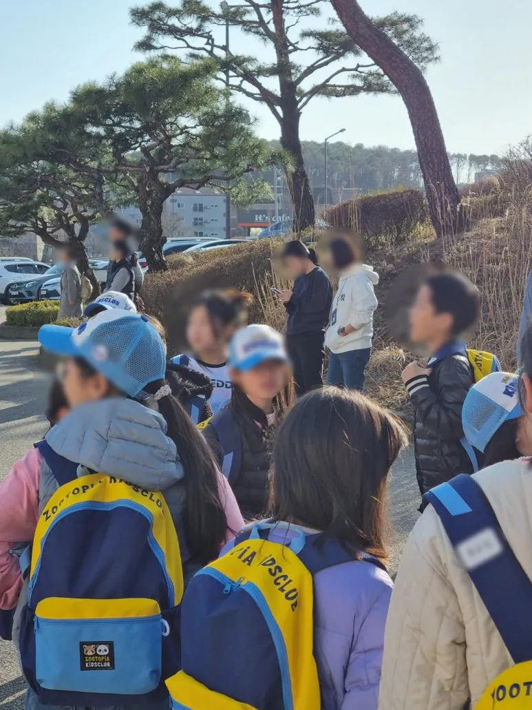 SE-19572107-9e69-4550-8417-50e135c9207f.jpg?type=w773