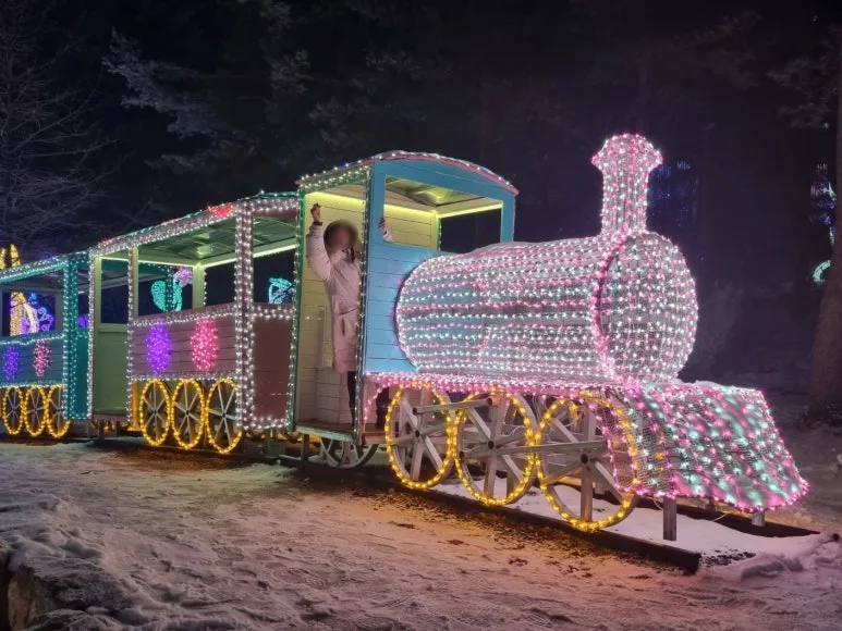 SE-db5e720c-c9c3-442a-bdc9-219f7f8f7e0c.jpg?type=w773