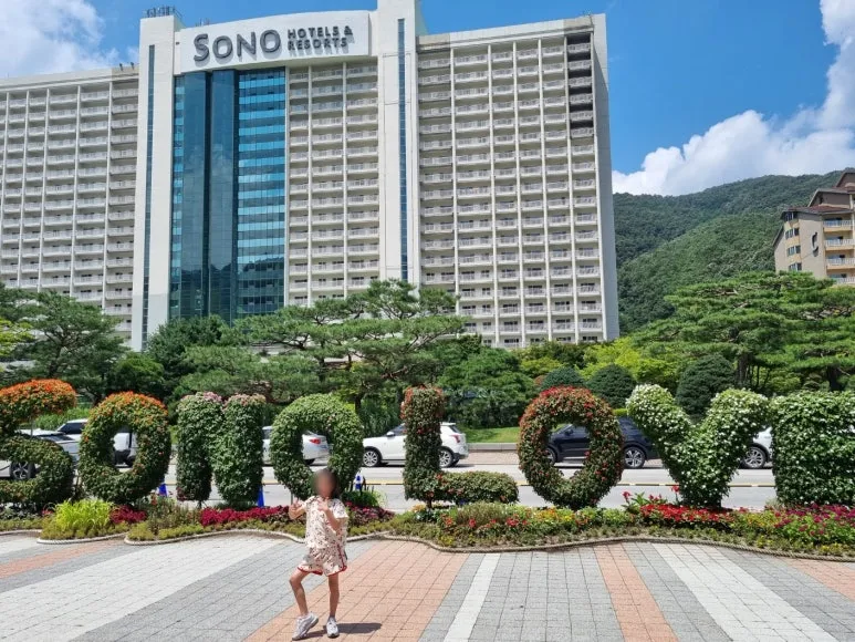 SE-d673e569-9482-4edc-9233-184e7faeb3d8.jpg?type=w773