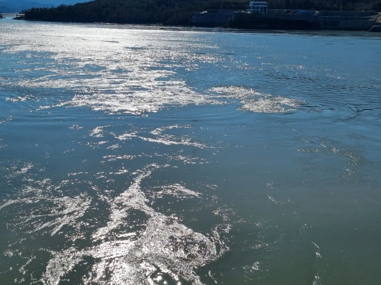 KakaoTalk_20240218_164802644_12.jpg?type=w773