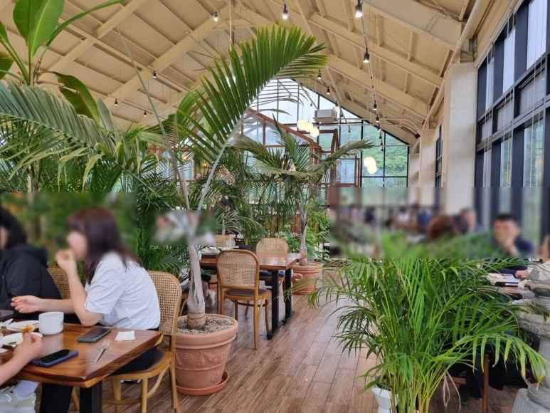 SE-77da53e3-4af6-4350-9c93-ccd3ff6c231b.jpg?type=w773