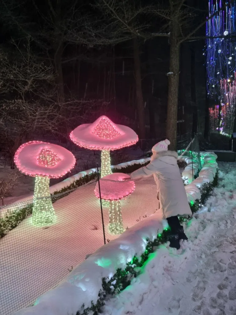 KakaoTalk_20240920_142113898_20.jpg?type=w773