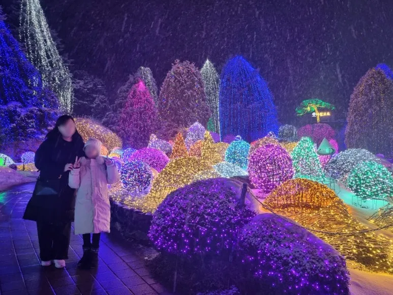 SE-515c4922-23b8-40ad-8821-ee437979e4e1.jpg?type=w773