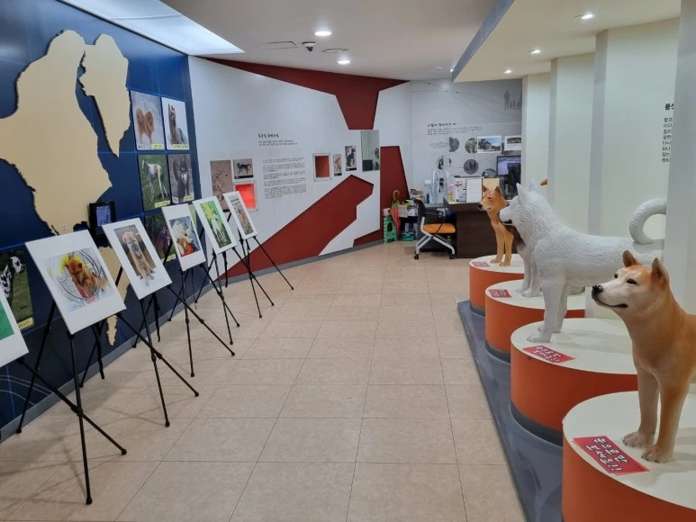 KakaoTalk_20240218_164305299_12.jpg?type=w773