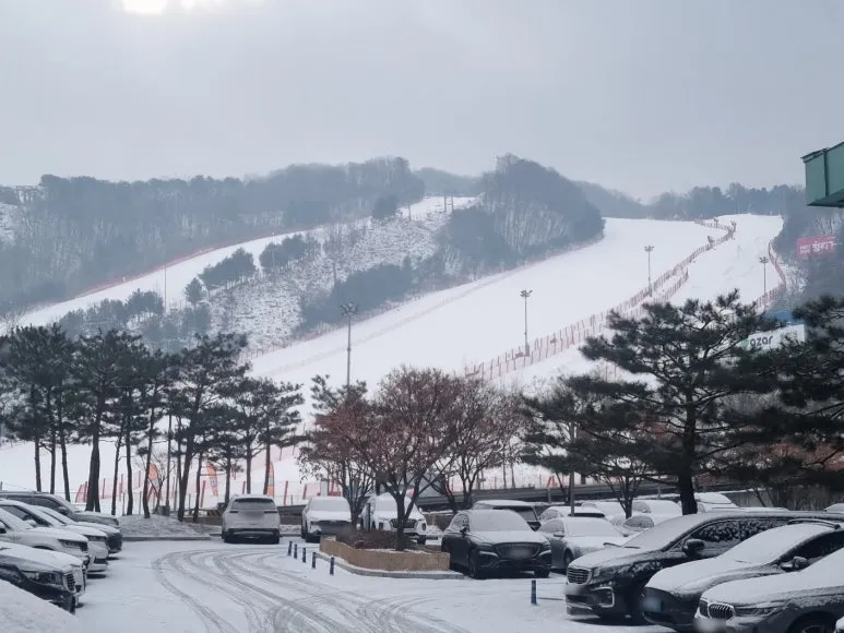 SE-80b8dfd9-b634-421f-ac2f-14eab33b46f5.jpg?type=w773