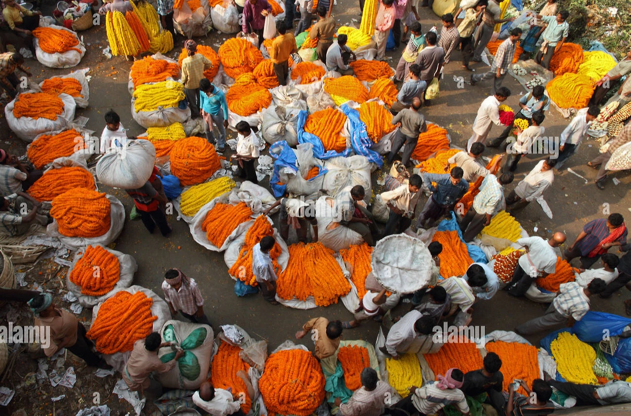 AD_4nXcyfLWi7vXLbLhuGj3ZN-EyRTnS6SBbB1hJevA1AlVbQSNlSZxkLnfb-LsGQ6rDzlP9_Wv2iuNXYdQsA4P2hzcGAUXuuI2dSxeCrb96fNZ7qbwR11v1C20geKB5NXHn6HNPdvVJgw?key=SKN13EBRE-NLQTtS6sEVwtgN