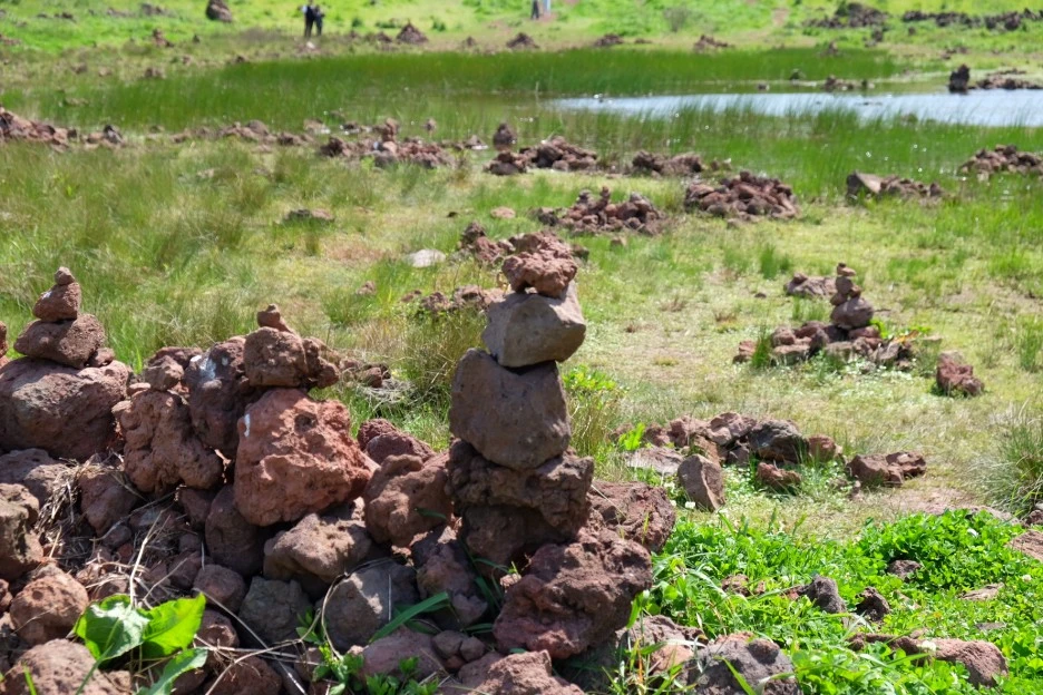 31D7BE4B-59FB-485B-B51A-AF15E1FFBDC1-13156-0000023572946633.JPG?type=w1