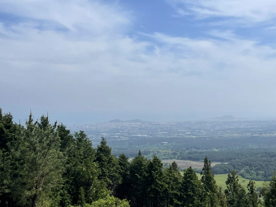 %EB%85%B8%EB%A3%A8%EC%86%90%EC%9D%B4_%ED%9E%88%EB%93%A0%EC%9E%A5%EC%86%A13.jpg?type=w966