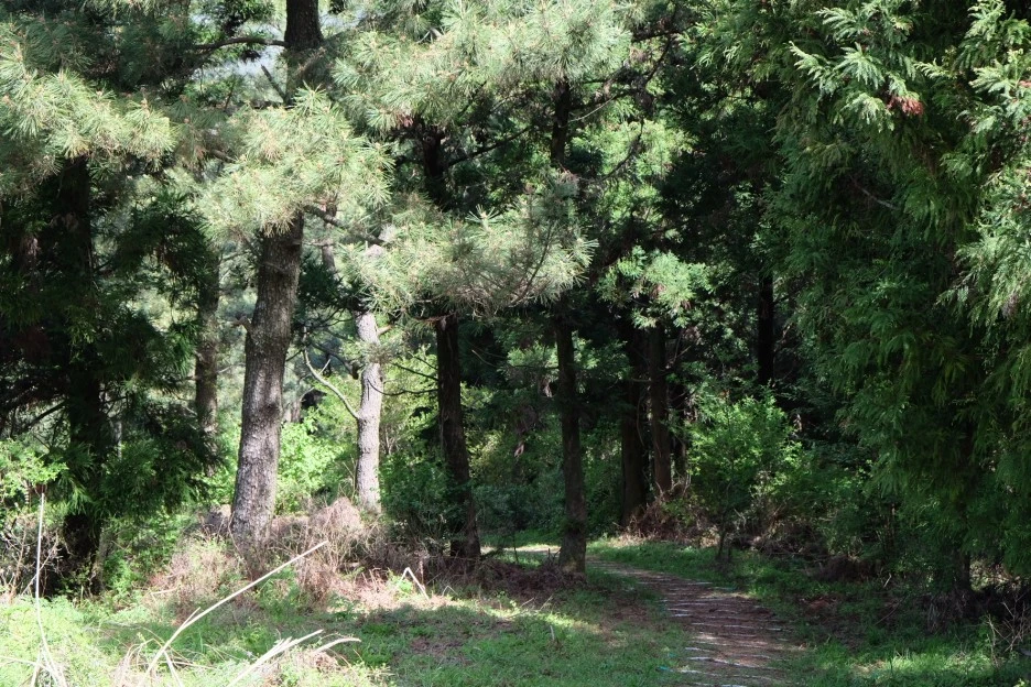 693B44A3-B08B-4D89-87FD-C06C780300C8-727-000021F07381EB98.JPG?type=w1