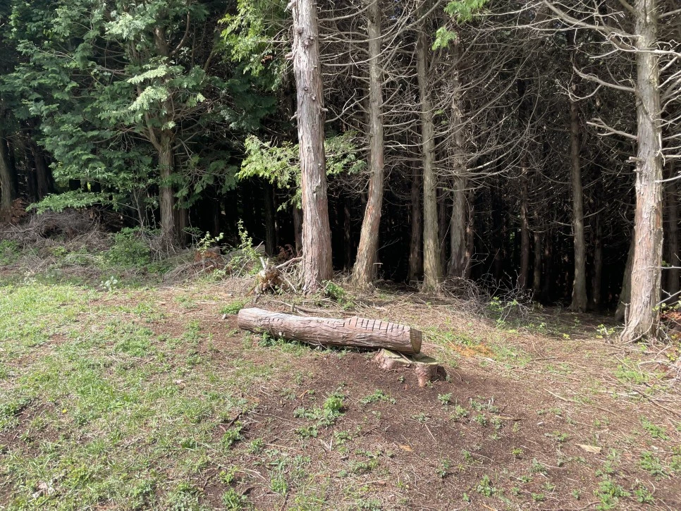 %EB%85%B8%EB%A3%A8%EC%86%90%EC%9D%B4_%ED%9E%88%EB%93%A0%EC%9E%A5%EC%86%8C_%EC%9D%98%EC%9E%90.jpg?type=w966