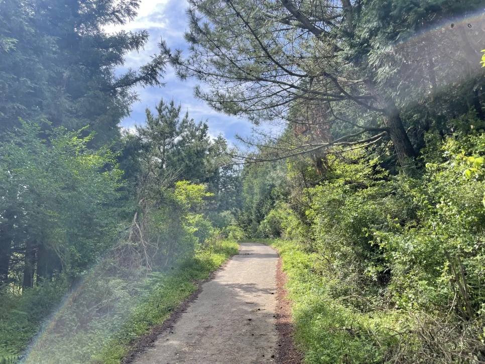 %EB%85%B8%EB%A3%A8%EC%86%90%EC%9D%B4_%EC%98%A4%EB%A5%B4%EB%A7%89%EA%B8%B8.jpg?type=w966