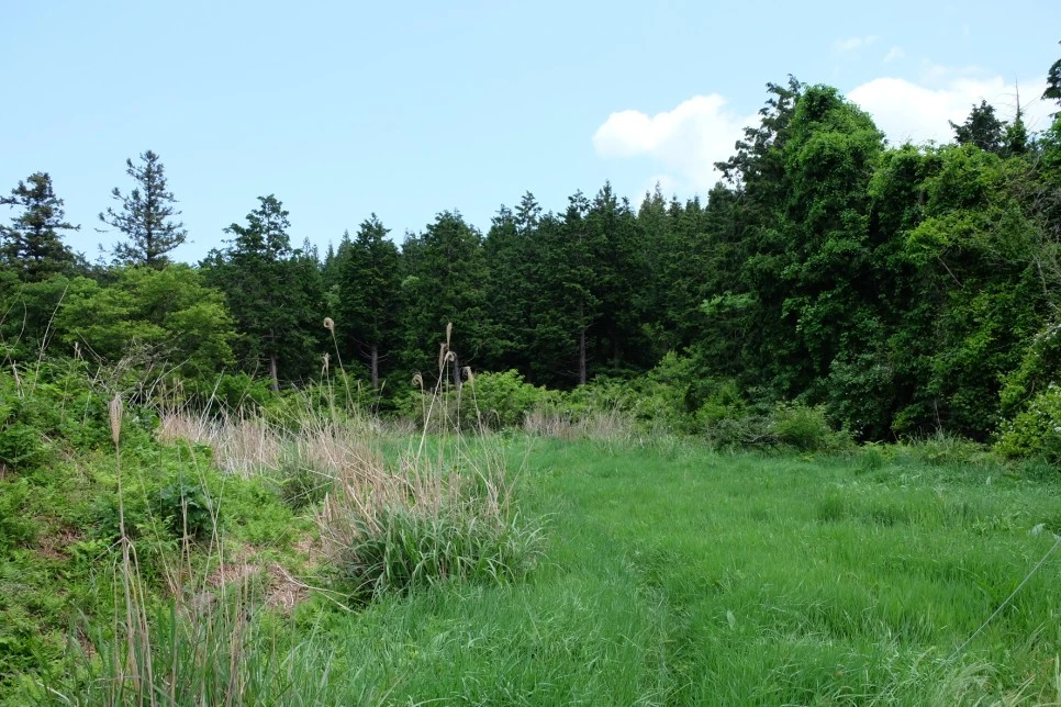 %EB%B0%A9%EC%84%A0%EB%AC%B8%EA%B3%84%EA%B3%A1_%EC%97%B4%EC%95%88%EC%A7%80_%EC%98%A4%EB%A6%84_%EC%A0%95%EC%83%81_%EA%B0%80%EB%8A%94%EA%B8%B8_2.JPG?type=w966