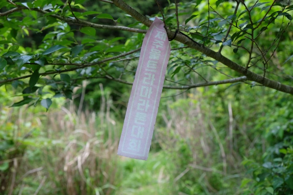 %EB%B0%A9%EC%84%A0%EB%AC%B8%EA%B3%84%EA%B3%A1_%EC%97%B4%EC%95%88%EC%A7%80_%EC%98%A4%EB%A6%84_%EC%A0%95%EC%83%81_%EA%B0%80%EB%8A%94%EA%B8%B8_3.JPG?type=w966