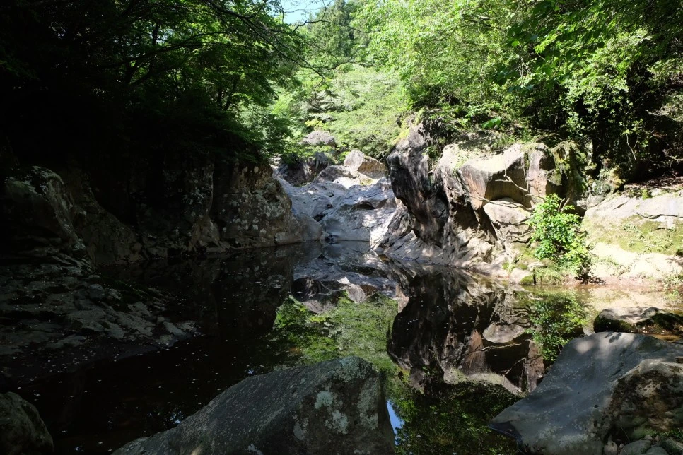 %EB%B0%A9%EC%84%A0%EB%AC%B8%EA%B3%84%EA%B3%A1_%EC%97%B4%EC%95%88%EC%A7%80_%EC%98%A4%EB%A6%84_%EA%B0%80%EB%8A%94%EA%B8%B8_5-1.JPG?type=w966