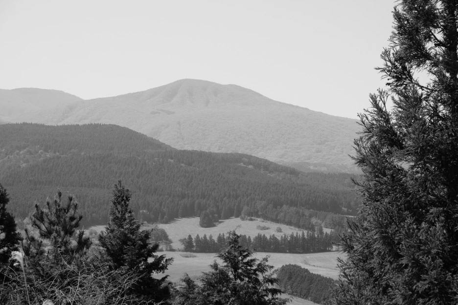 9B2A16AE-9EF7-4D52-8E77-84615E15D7AF-727-000021F097DBD030.JPG?type=w1