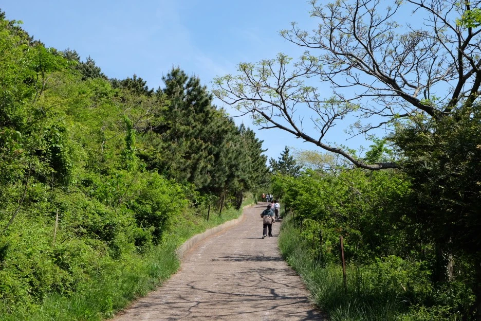 D6DF24C8-98AA-4F3F-8AD3-0806528FDD46-13156-000002352E9F2C77.JPG?type=w1