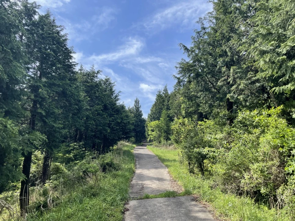 %EB%85%B8%EB%A3%A8%EC%86%90%EC%9D%B4_%EC%98%A4%EB%A5%B4%EB%A7%89%EA%B8%B82.jpg?type=w966