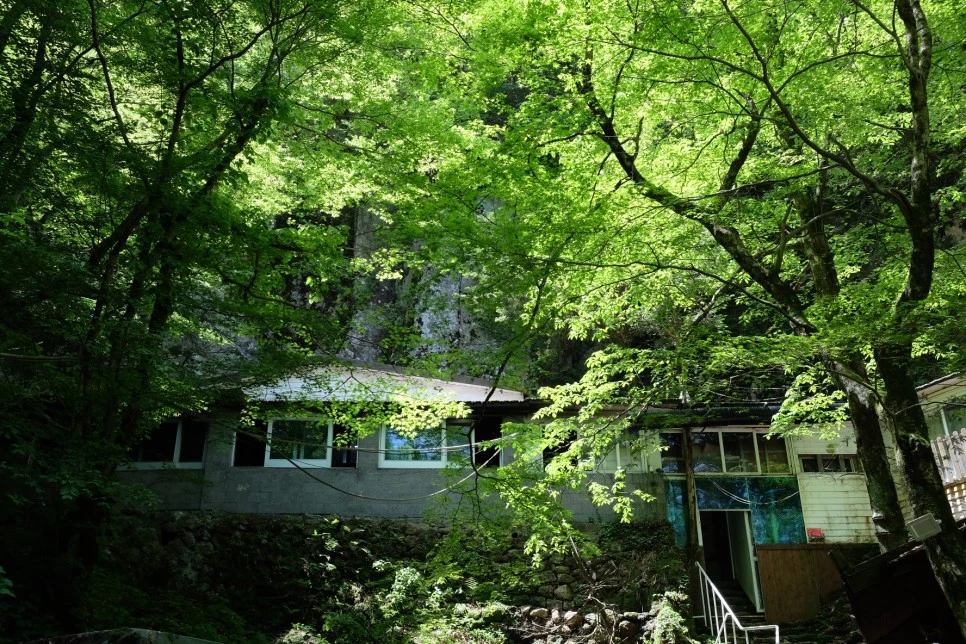 %EA%B3%A8%EB%A8%B8%EB%A6%AC%EC%98%A4%EB%A6%84_%EC%84%9D%EA%B5%B4%EC%95%94.JPG?type=w966