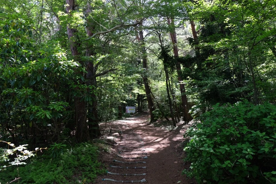 %EA%B3%A8%EB%A8%B8%EB%A6%AC%EC%98%A4%EB%A6%84_%EC%84%9D%EA%B5%B4%EC%95%94_%EC%B4%88%EC%9E%85.JPG?type=w966