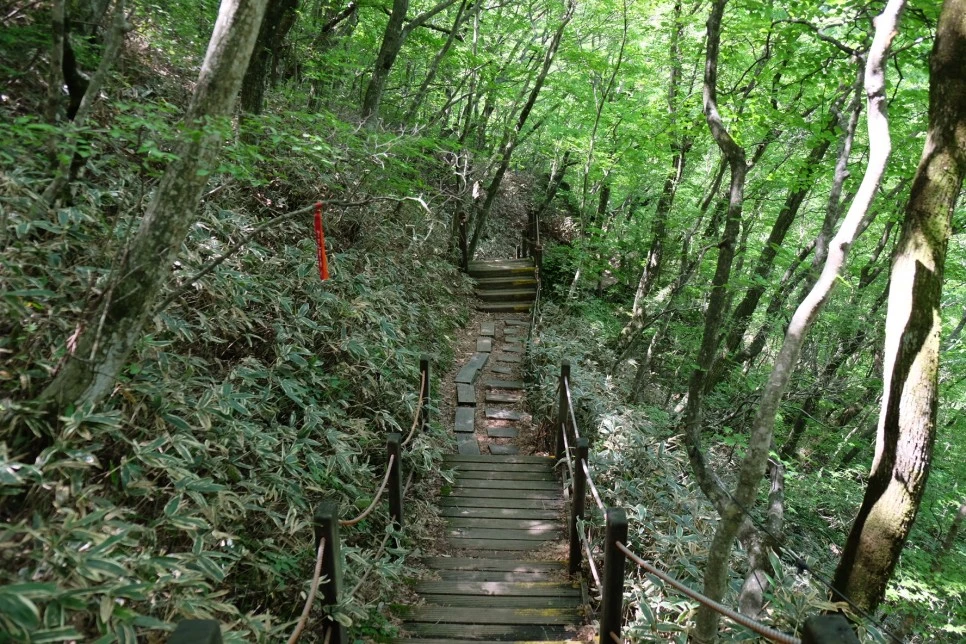 %EA%B3%A8%EB%A8%B8%EB%A6%AC%EC%98%A4%EB%A6%84_%EC%84%9D%EA%B5%B4%EC%95%94_%EB%82%B4%EB%A6%AC%EB%A7%89%EA%B8%B8_3.JPG?type=w966