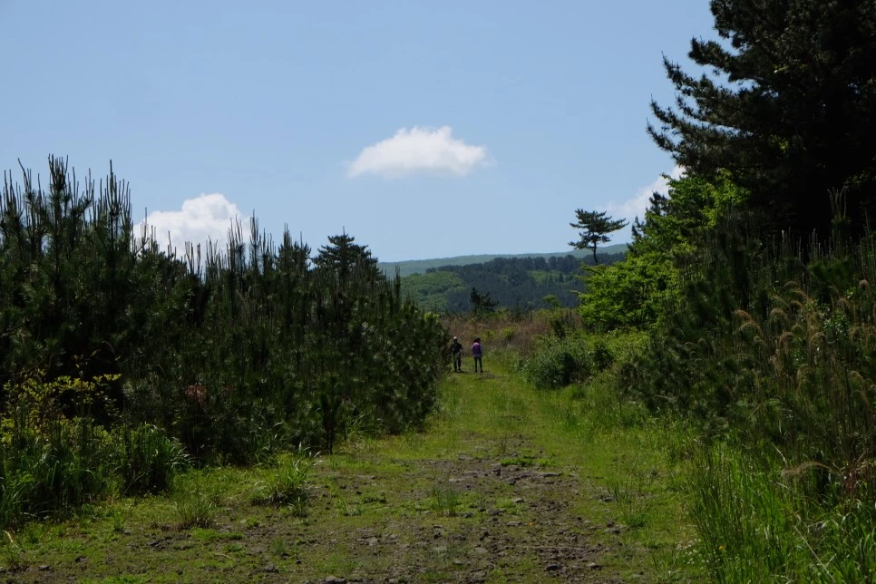 %EB%B0%A9%EC%84%A0%EB%AC%B8%EA%B3%84%EA%B3%A1_%EC%97%B4%EC%95%88%EC%A7%80_%EC%98%A4%EB%A6%84_%EA%B0%80%EB%8A%94%EA%B8%B8_17.JPG?type=w966