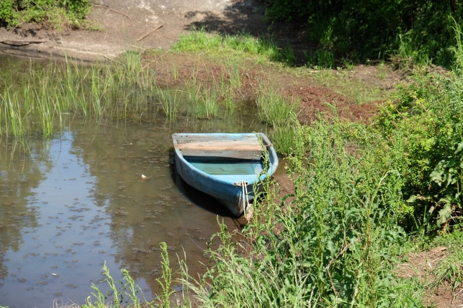 FAB44DBF-144F-466C-87A9-541F78F822EF-13156-0000023507E84330.JPG?type=w1