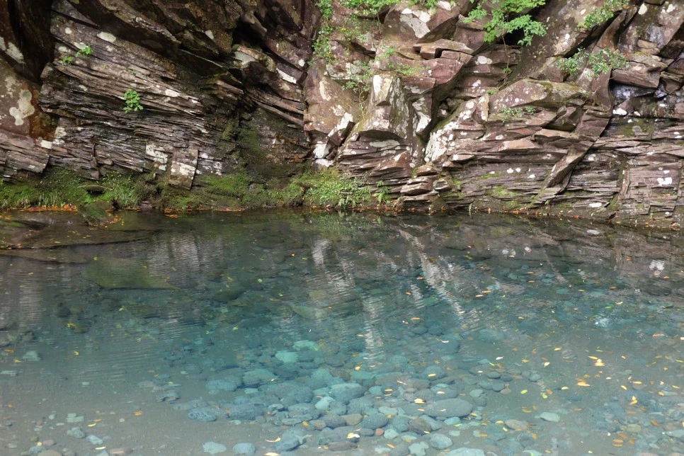 %EC%B9%BC%EB%8B%A4%EB%A6%AC_%ED%8F%AD%ED%8F%AC_2.JPG?type=w966