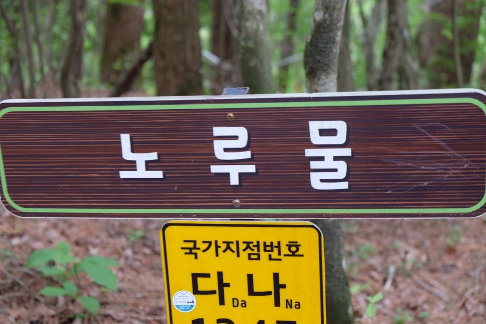 %EC%84%B8%EB%AF%B8%EC%96%91_%EC%98%A4%EB%A6%84_%EB%85%B8%EB%A3%A8%EB%AC%BC.JPG?type=w966