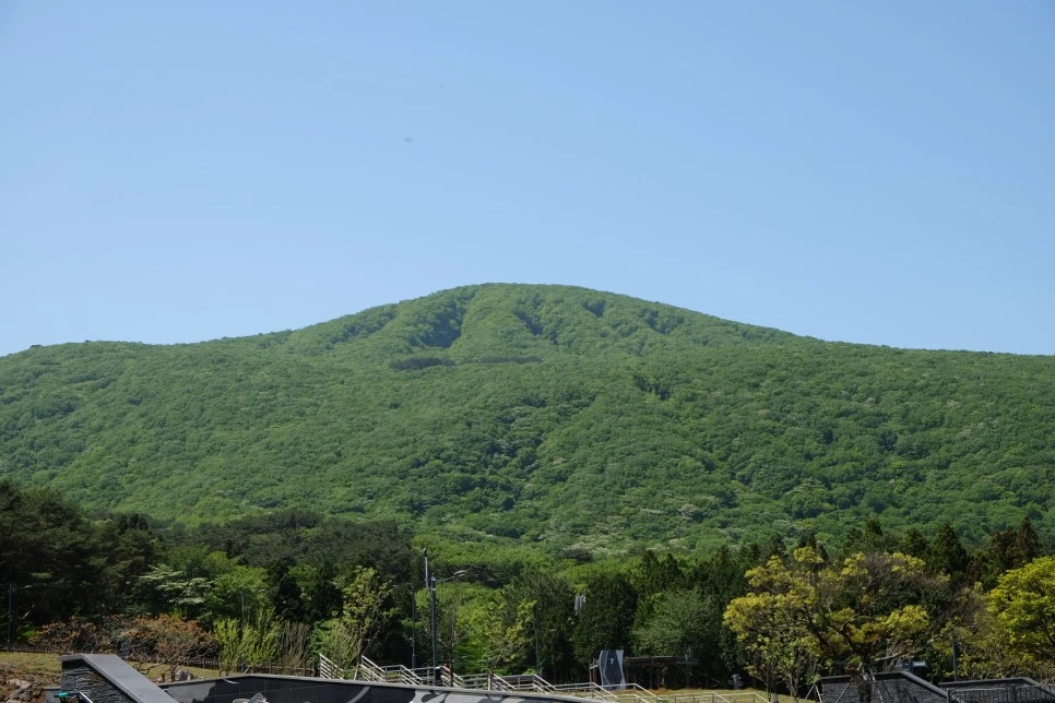 %EA%B3%A8%EB%A8%B8%EB%A6%AC%EC%98%A4%EB%A6%84_%EC%96%B4%EC%8A%B9%EC%83%9D%EC%95%85.JPG?type=w966