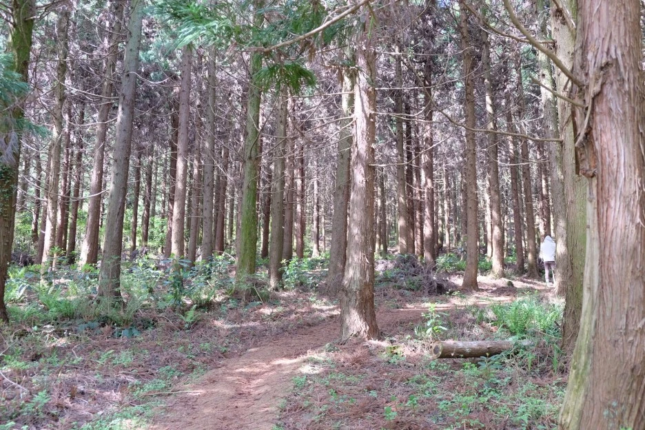 1B91107E-1889-4577-B8C0-D95D75ABD6E5-727-000021F107AD0F52.JPG?type=w1