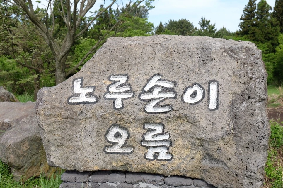 %EB%85%B8%EB%A3%A8%EC%86%90%EC%9D%B4%EC%98%A4%EB%A6%84_%EB%B9%84%EC%84%9D.JPG?type=w966