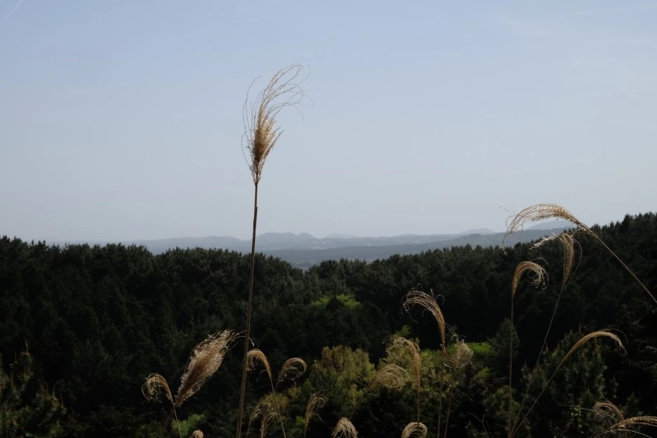 77A2D85F-6B70-4CC6-B90E-2CFA6D5A5AED-727-000021F0D90CCB8E.JPG?type=w1