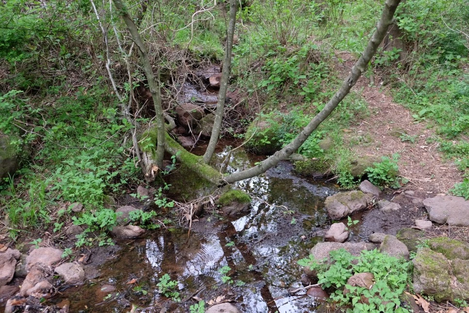 %EC%84%B8%EB%AF%B8%EC%96%91_%EC%98%A4%EB%A6%84_%EC%82%BC%EC%9D%98%EC%95%85_%EC%83%98.JPG?type=w966