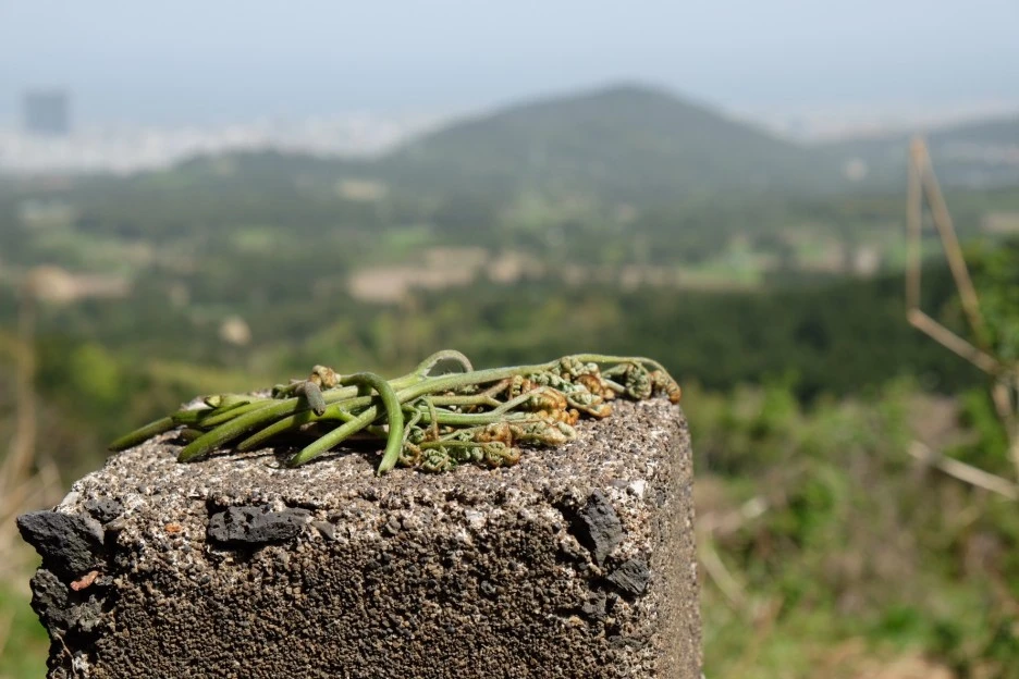 CB280023-1B8E-4165-9768-641E31DF3EDD-727-000021F07B544B67.JPG?type=w1