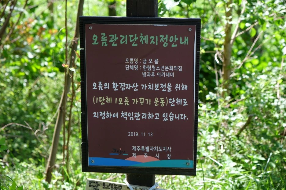 4F3D85CA-DD4F-414A-93E5-400AEF4569AF-13156-0000023519B868FD.JPG?type=w1